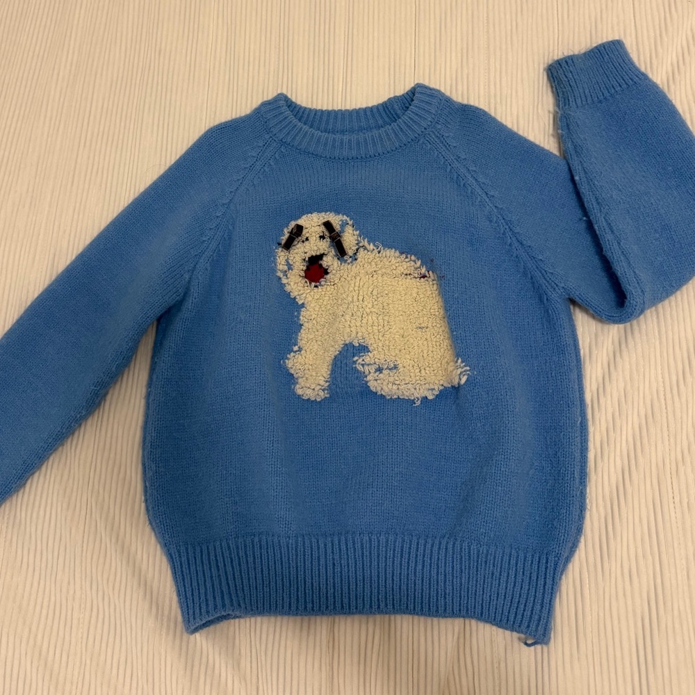 Blue Sweater with Dog Design